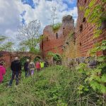 25405a13-f81d-482e-82ae-4f2b72de7269