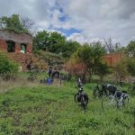 3f8c60b3-10d0-4017-80ac-03f3637885cc