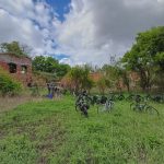 43e082ec-01dd-48bf-a56e-932872a50102