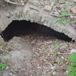 959fc036-ef2c-44ef-b081-d739854f8bfb