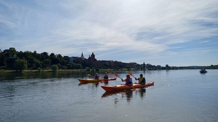 Kajakarze płynący Wisłą w kierunku Nowego, z panoramą Grudziądza w tle podczas słonecznego dnia.